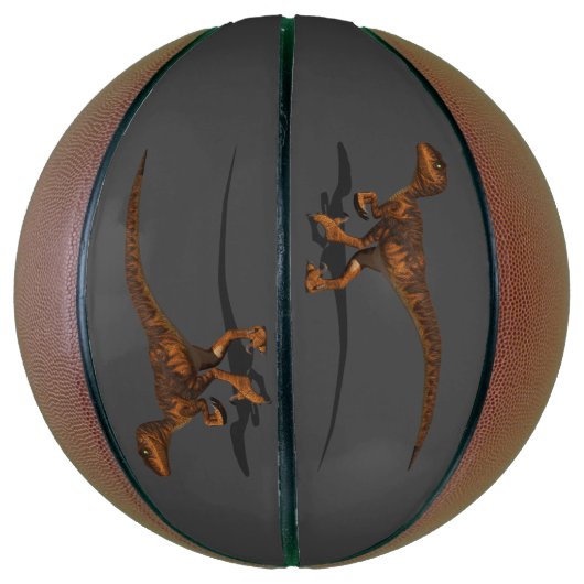 Raptor 1 3D Basketbal (Verticaal)