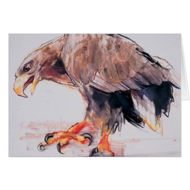 Raptor 2001 (Voorkant Horizontaal)