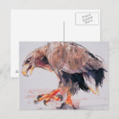 Raptor 2001 briefkaart (Voorkant / Achterkant)