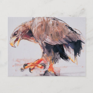 Raptor 2001 briefkaart