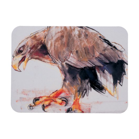 Raptor 2001 magneet (Horizontaal)