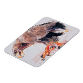 Raptor 2001 magneet (Linkerzijde)