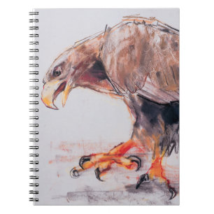 Raptor 2001 notitieboek