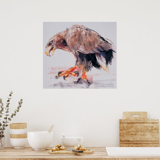 Raptor 2001 poster (Keuken)