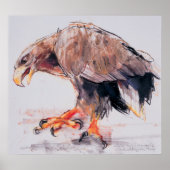 Raptor 2001 poster (Voorkant)