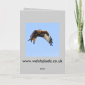 Raptor Christmas-Kaarten Feestdagen Kaart (Achterkant)