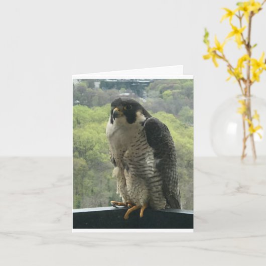 raptor kaart (Gele Bloem)