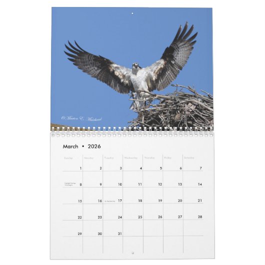 Raptor Kalender (Mar 2026)