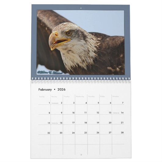 Raptor Kalender (Feb 2026)