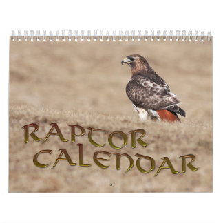 Raptor Kalender