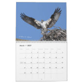 Raptor Kalender (Mar 2027)