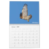 Raptor Kalender (Jan 2027)