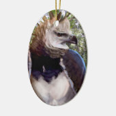 Raptor Keramisch Ornament (Links)