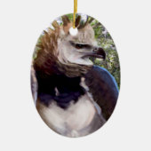 Raptor Keramisch Ornament (Voorkant)