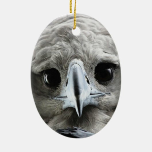 Raptor Keramisch Ornament (Achterkant)