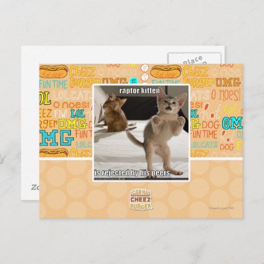 Raptor Kitten Briefkaart (Voorkant / Achterkant)