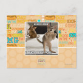 Raptor Kitten Briefkaart (Voorkant)