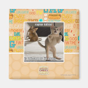 Raptor Kitten Magneet