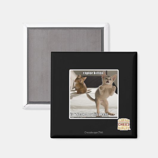 Raptor Kitten Magneet (Voorkant / Achterkant)