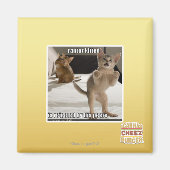 Raptor Kitten Magneet (Voorkant)