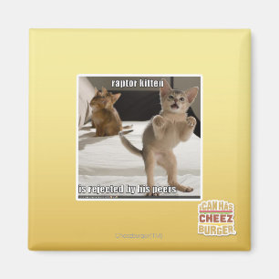 Raptor Kitten Magneet