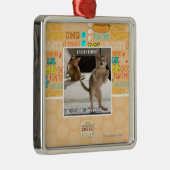 Raptor Kitten Metalen Ornament (Rechts)