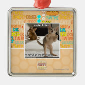 Raptor Kitten Metalen Ornament (Voorkant)