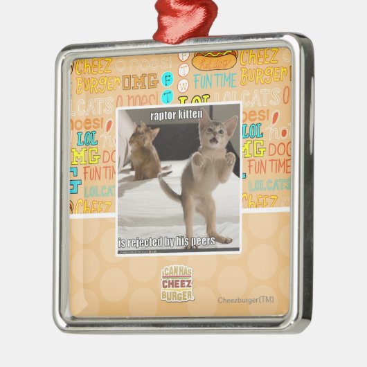 Raptor Kitten Metalen Ornament (Links)