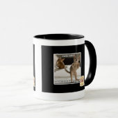 Raptor Kitten Mok (Voorkant rechts)