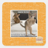 Raptor Kitten Vierkante Sticker (Voorkant)