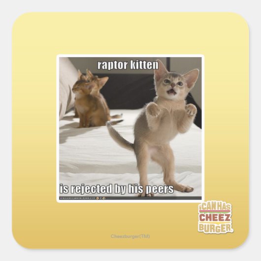 Raptor Kitten Vierkante Sticker (Voorkant)