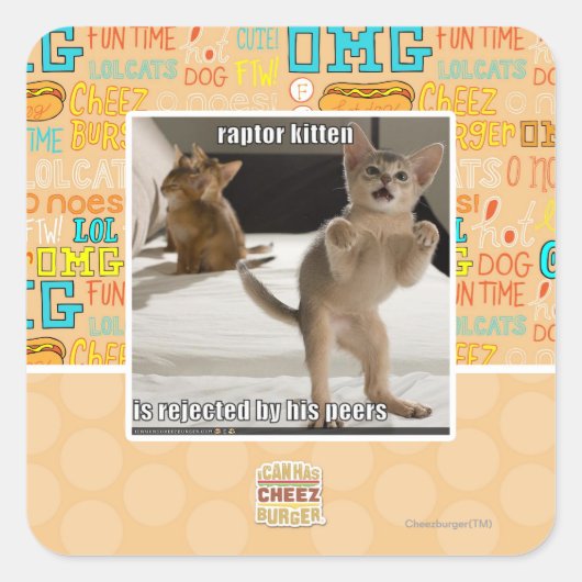 Raptor Kitten Vierkante Sticker (Voorkant)