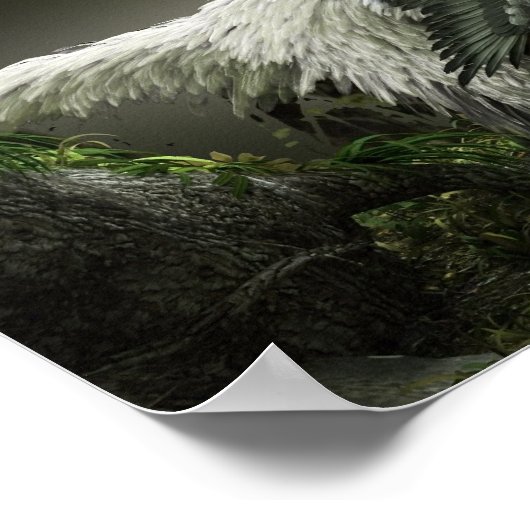 Raptor met veren poster (Hoek)