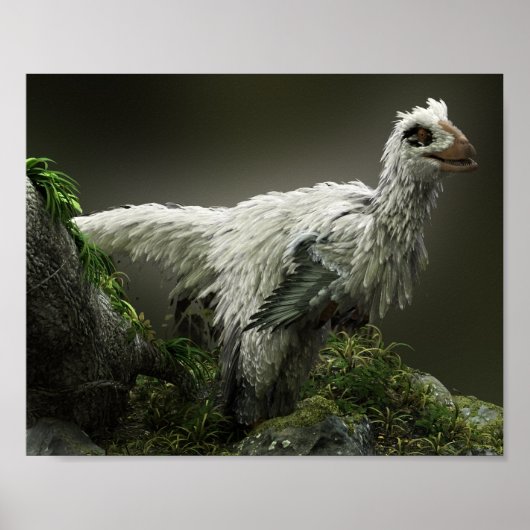 Raptor met veren poster (Voorkant)