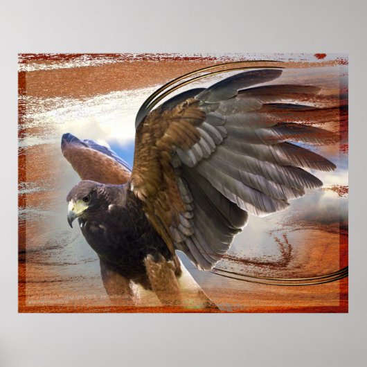 Raptor Poster (Voorkant)