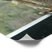 raptor poster (Hoek)