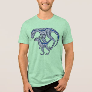 Raptor shirt