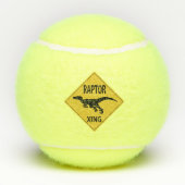 Raptor XING Tennisballen (Achterkant)