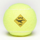 Raptor XING Tennisballen (Voorkant)