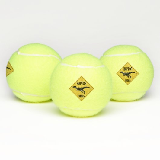 Raptor XING Tennisballen (Multi)