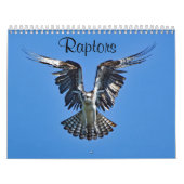 Raptoren Kalender (Hoes)