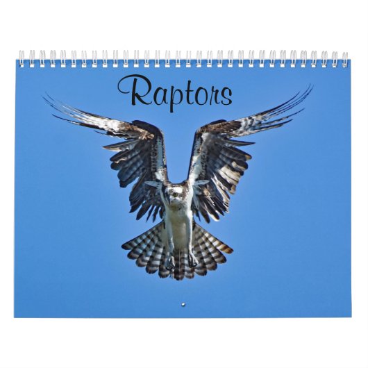 Raptoren Kalender (Hoes)
