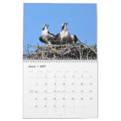 Raptoren Kalender (Mar 2027)