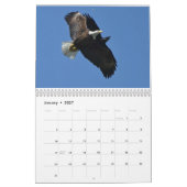 Raptoren Kalender (Jan 2027)