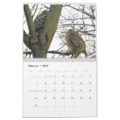Raptoren Kalender (Feb 2027)