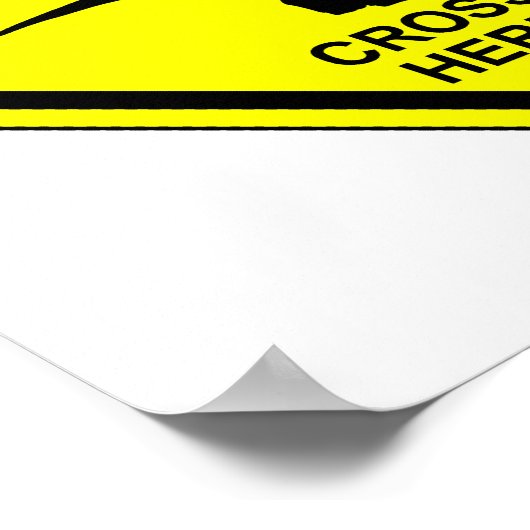 Raptoren - Poster (Hoek)