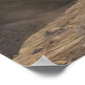 Raptorsporen afdrukken poster (Hoek)