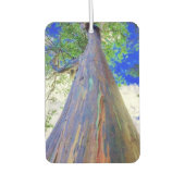 Raqinbow Eucalyptus Air Freshener Luchtverfrisser (Voorkant)