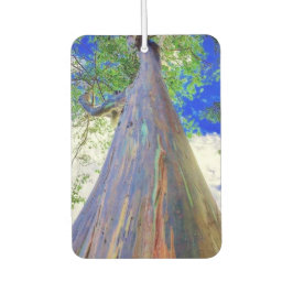 Raqinbow Eucalyptus Air Freshener Luchtverfrisser