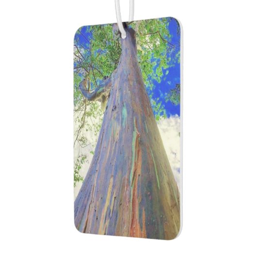 Raqinbow Eucalyptus Air Freshener Luchtverfrisser (Links)